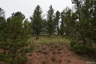 557 Gold King Dr, Cripple Creek, CO 80813