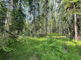 nhn Keeling Rd Unit NHN Yenghee Drive, North Pole, AK 99705