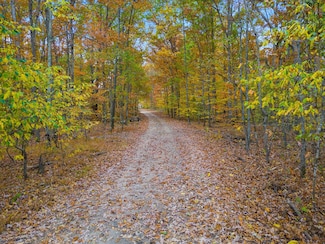 0 Wallace Rd, Fairview, TN 37062