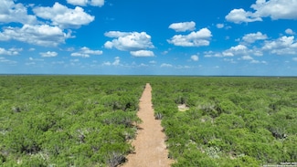 000 Cameron Ln, Fowlerton, TX 78021