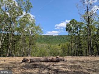 Lot 20 Otter Creek Dr, Gerrardstown, WV 25420