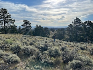 NHN Olde English Rd, Other, MT 82646
