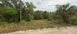 0 Riverside Trail, Satsuma, FL 32189