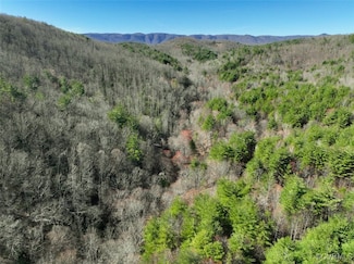 180 Acres (Off Of) Willard Creek Ln, Stuart, VA 24171