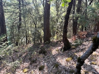 Lot 6 Block Upper River Ave, Dunsmuir, CA 96025