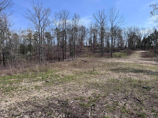 155A Campground Rd, Wideman, AR 72585