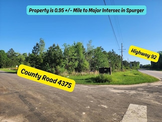 8.031 AC Highway 92, Spurger, TX 77660