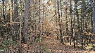 183 Mountain Path, North Creek, NY 12853