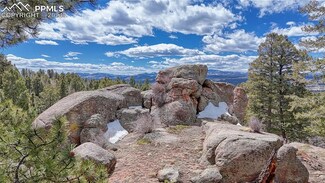 107 Sentinel Way, Florissant, CO 80816
