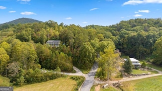 0 Laurel Springs Rd Unit 10212066, Mineral Bluff, GA 30559