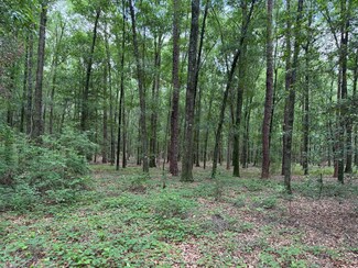 County Road 11, Ariton, AL 36311
