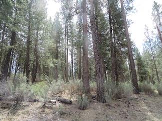 Bl 3 lot 2 Twin River Dr, Chiloquin, OR 97624