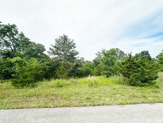 235 Shady Oaks Shore Unit Lot 45, Forsyth, MO 65653