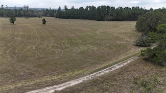 14.16 Acres Tract 2 Tbd Percy Howard Rd, Huntsville, TX 77340