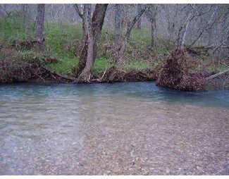 155 Acres Mike's Creek Rd, Powell, MO 65730