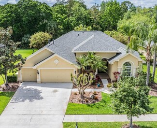 2743 Blue Springs Place, Wesley Chapel, FL 33544