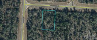 0 Buttonwood Ln Unit 658215, Chipley, FL 32428