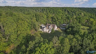 Tract 7B Ragsdale Creek Rd, Elkmont, AL 35620