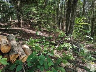0 Macey Rd Unit 4916767, Middlesex, VT 05602