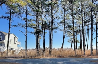 Lot 719 Castaway Dr Unit 719, Greenbackville, VA 23356
