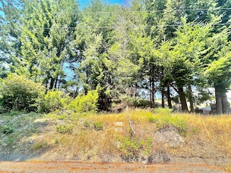 63 Spring Rd, Shelter Cove, CA 95589