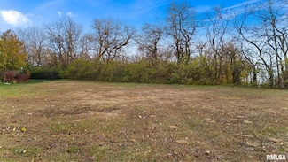 2203 W Augusta Dr, Dunlap, IL 61525