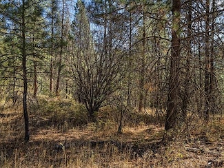 TBD Raven Ridge, Nine Mile Falls, WA 99026