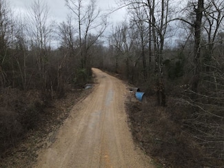 Lancaster Rd Unit LotWP001, Star City, AR 71667