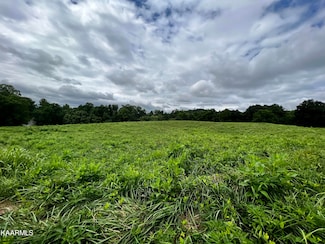 Lot 133 Cinnabar Dr, New Tazewell, TN 37825