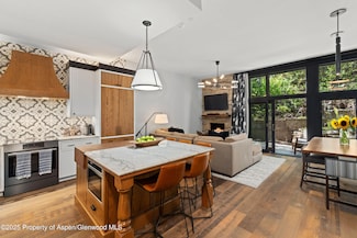 800 S Mill St Unit 105, Aspen, CO 81611