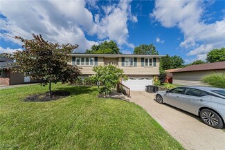 9094 Roosevelt Dr, Northfield, OH 44067