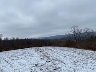 0 McKees Gap Rd Unit Lot 5 10650174, Union Township, PA 17267