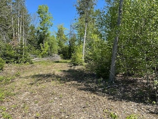 Lot 2 Mt Jefferson Heights, Lee, ME 04455