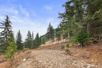 321 Innsbruck Dr, Snoqualmie Pass, WA 98068