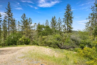 329 Cuckoo Ct, Applegate, CA 95703