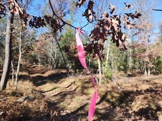 VL W Trail 6545 (Hb Road), Baldwin, MI 49304