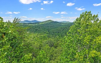 0 N View Dr Unit 328215, Mineral Bluff, GA 30559