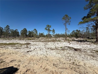 2972 W Rutland Rd, Avon Park, FL 33825