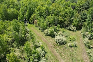 0 Mallory Rd, Chemung, NY 14825