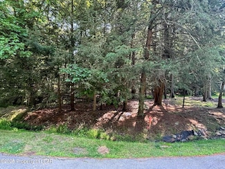 17 Mink Springs Ct, Butler Township, PA 18222