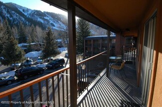 940 Waters Ave Unit 307, Aspen, CO 81611