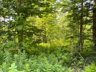 Lot 15 Hampshire Woods Loop, Errol, NH 03579