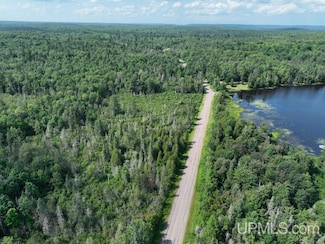 00 Gold Mine Lake Rd, Ishpeming, MI 49849