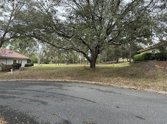 3667 W Treyburn Path, Black Diamond, FL 34461