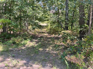 VL 52nd St, Pullman, MI 49450