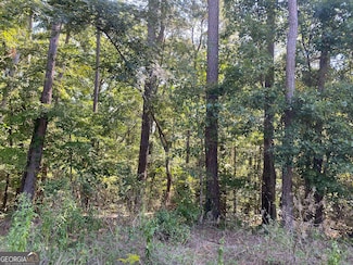 0 Lakewood Way NE Unit 10425723, Conyers, GA 30012