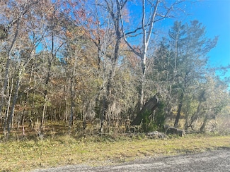 165 N Pine Harbour Dr, Coldspring, TX 77331