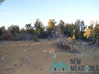 LOT 18 Tbd Rockwood Rd, Candy Kitchen, NM 87357