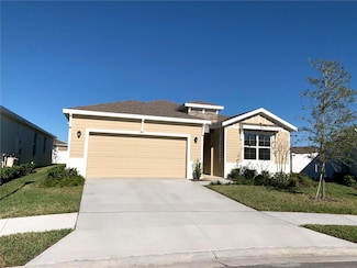 13374 Waterleaf Garden Cir, Riverview, FL 33579
