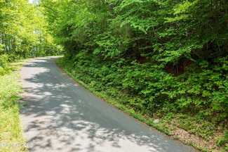 0 Running Bear Rd, Cosby, TN 37722